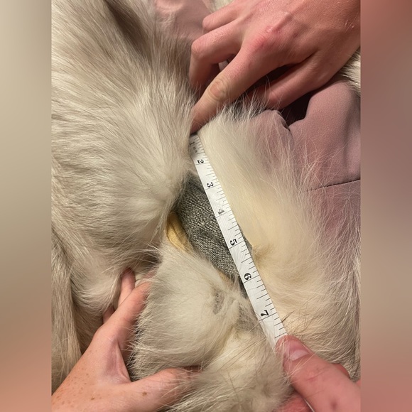 SOLD - Picture 6 of 9